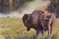 BISON - 29 X 36 - WATERCOLOR - $600