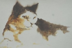 CAT STUDY - 18 X 22 - WATERCOLOR - $200