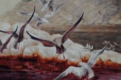 CINQUE TERRA GULLS - 22 X 29 - WATERCOLOR - $300