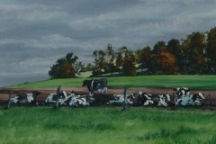 COWS IN THE FIELD - 29 X 36 - WATERCOLOR - $500