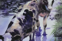 COWS IN WATER #1 - 29 X 22 - WATERCOLOR - $300