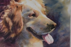 DOG-2-18-X-22-WATERCOLOR-400.