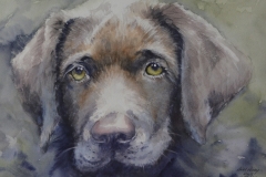 DOG-3-18-X-22-WATERCOLOR-400.