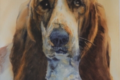 DOG-4-22-X-18-WATERCOLOR-400.