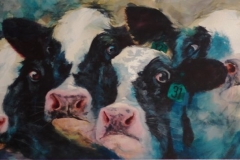 FOUR HOLSTEINS - 20 X 36 - WATERCOLOR - $450