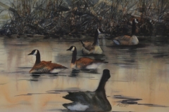 GAGGLE OF GEESE - 22 X 29 - WATERCOLOR - $300