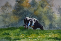 GRAZING - 22 X 29 - WATERCOLOR - $300