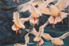 GULLS #9 - 29 X 22 - WATERCOLOR - $600