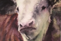 HEIFER-29-X-22-WATERCOLOR-600