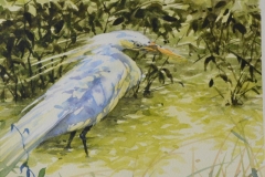 HERON-2-17-X-19-WATERCOLOR-300.