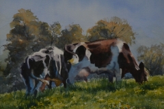 HOLSTEINS GRAZING #1 - 18 X 22 - WATERCOLOR - $300