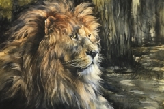 LION-29-X-36-WATERCOLOR-800