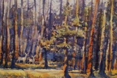 MULE DEER - 18 X 22 - WATERCOLOR - $200