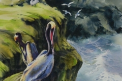 PELICANS - 29 X 22 - WATERCOLOR - $400