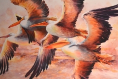 PELICANS - 29 X 36 - WATERCOLOR - $700