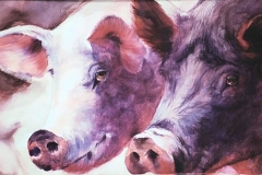 PIG LOOKS - 29 X 36 - WATERCOLOR - $500