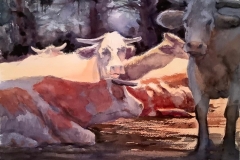 RESTING-18-X-22-WATERCOLOR-350