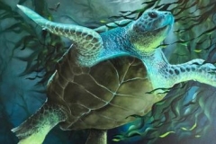 SEA-TURTLE-30-X-48-OIL-2500.