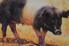 THIS LITTLE PIGGY WENT TO MARKET - 28 X 35 - WATERCOLOR - $600