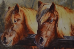 TWINS - 29 X 36 - WATERCOLOR - $600