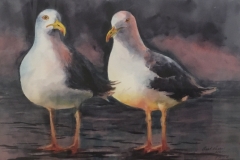 TWO-GULLS-18-X-22-WATERCOLOR-250