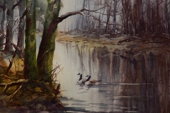 VIRGINIA STREAM - 18 X 22 - WATERCOLOR - $250