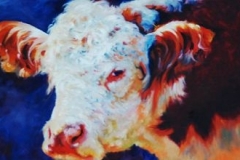 YOUNG HEREFORD - 12 X 16 - OIL - $500