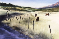 ZION HORSES - 18 X 22 - WATERCOLOR - $300