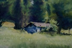 FOWLER'S SHED - 18 X 22 - WATERCOLOR - $300