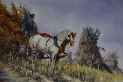 GATHERING CORN - 22 X 29 - WATERCOLOR - $300