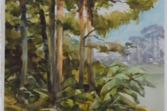 FLORIDA-TREES-22-X-18-WATERCOLOR-300.