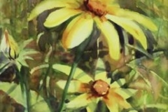 DAISY GOLD - 22 X 18 - WATERCOLOR - $300