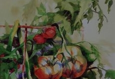 GARDEN BOUNTY - 29 X 22 - WATERCOLOR - $400