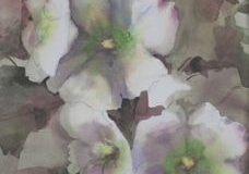 HOLLYHOCKS #1 - 29 X 22 - WATERCOLOR - $400