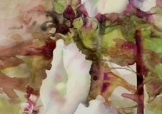 HOLLYHOCKS #3 - 29 X 22 - WATERCOLOR - $400