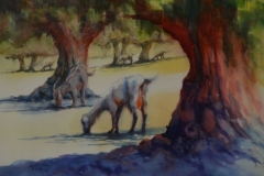 SICILY OLIVES AND GOAT - 22 X 29 - WATERCOLOR - $400