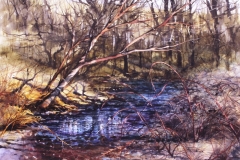 A LITTLE BROOK - 22 X 29 - WATERCOLOR - $400