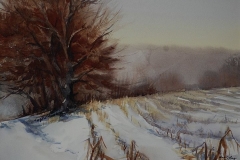 CORN IN THE SNOW - 18 X 22 - WATERCOLOR - $300