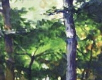 DEEP WOODS - 22 X 18 - WATERCOLOR - $200