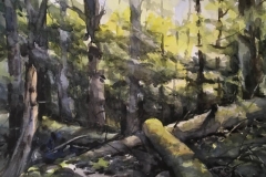 DOWNED-TREES-18-X-22-WATERCOLOR-400