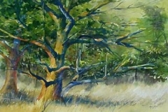 EVENING COLORS IN THE AIR - 18 X 22 - WATERCOLOR - $300