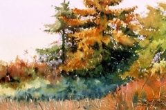 FALL COLORS, FIELD EDGE - 18 X 22 - WATERCOLOR - $400