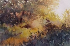 FALL SPLENDOR - 18 X 22 - WATERCOLOR - $400