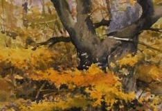 FALL YELLOWS - 22 X 18 - WATERCOLOR - $300