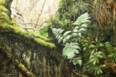 FERNS-WATERCOLOR-29X22-MOUNTED-600.00