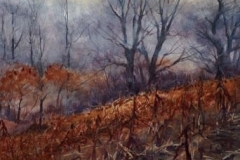 FIELD'S EDGE - 18 X 22 - WATERCOLOR - $400