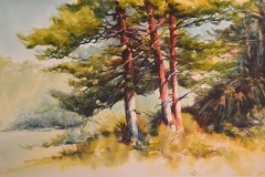 FLORIDA PINES - 22 X 29 - WATERCOLOR - $500