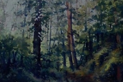 FOREST COMPOSITION - 29 X 36 - WATERCOLOR - $600