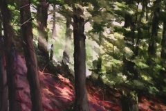 FOREST-FLOOR-18-X-22-WATERCOLOR-350