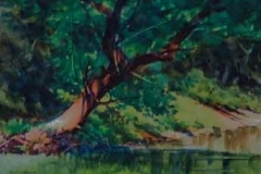 FOWLER'S BROOK - 18 X 22 - WATERCOLOR - $300